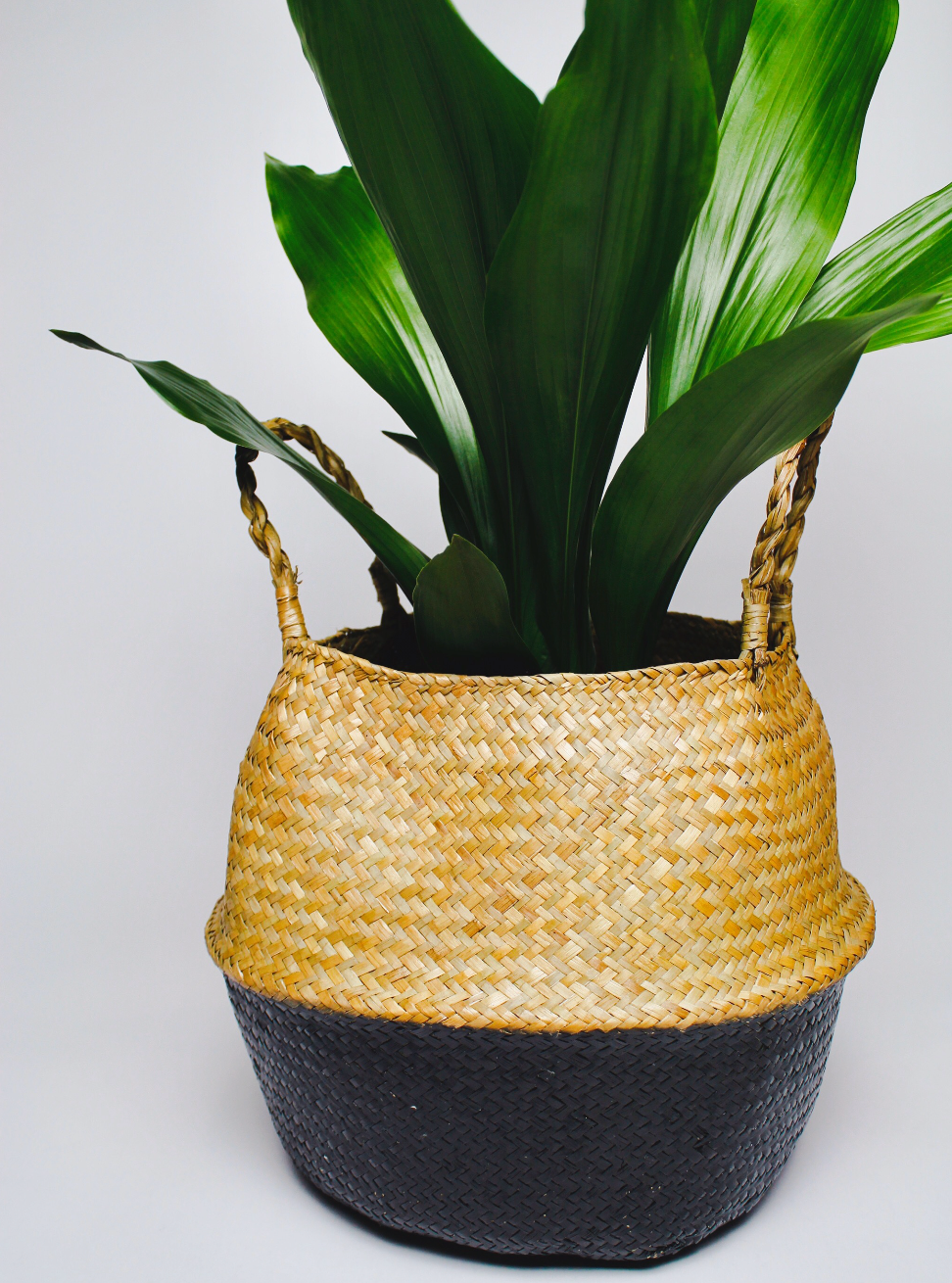 Tāne Seagrass Basket - Black