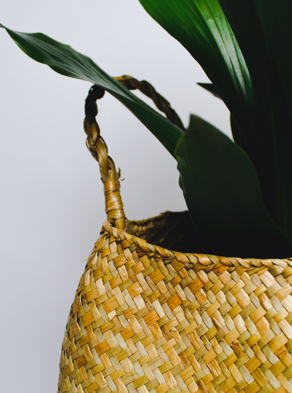 Tāne Seagrass Basket - Black