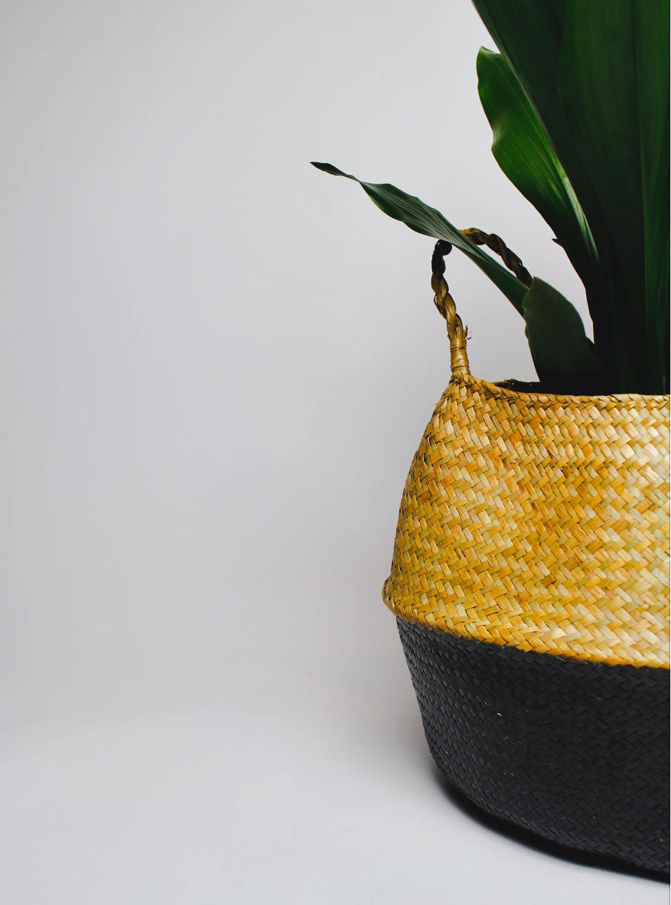 Tāne Seagrass Basket - Black