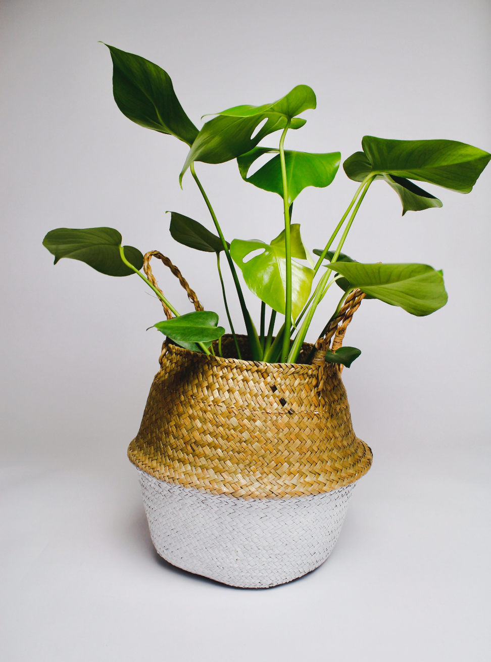 Tāne Seagrass Basket - White